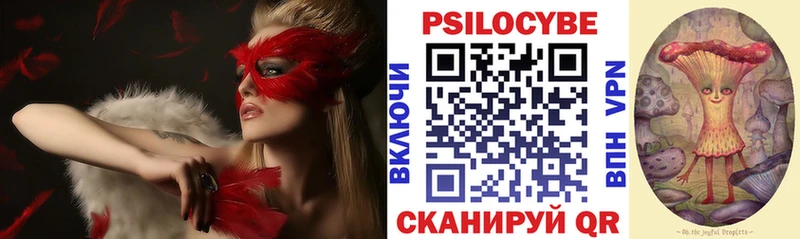 Галлюциногенные грибы Psilocybe  как найти   Волгореченск 